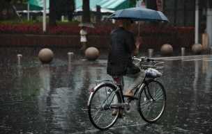 自転車　傘さし運転