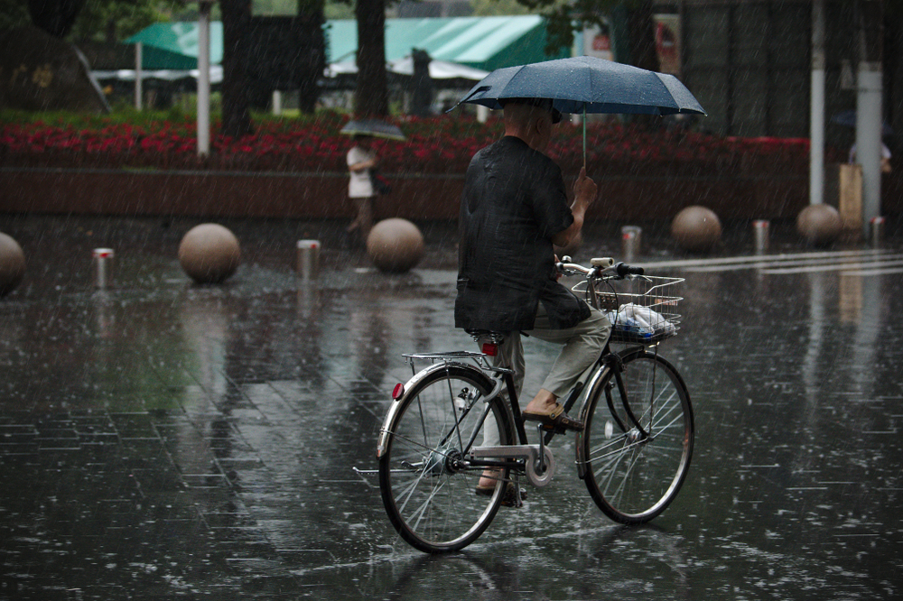 傘 自転車 法律