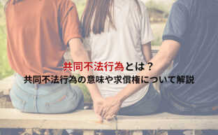 共同不法行為とはどんなもの？共同不法行為の意味や求償権について解説