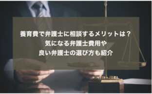 養育費で弁護士に相談するメリットは？気になる弁護士費用や良い弁護士の選び方も紹介