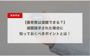 養育費は減額できるの？減額請求された場合に知っておくべきポイントとは！