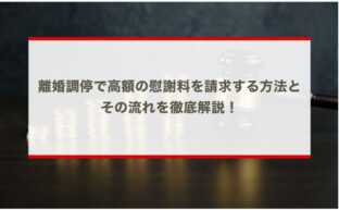 離婚調停で高額の慰謝料を請求する方法とその流れを徹底解説！