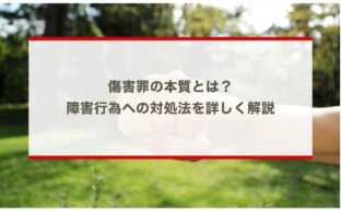 傷害罪の本質とは？障害行為への対処法を詳しく解説