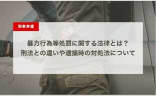 暴力行為等処罰に関する法律とは？刑法との違いや逮捕時の対処法について