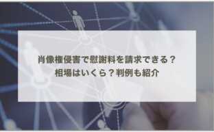 肖像権侵害で慰謝料を請求できる？相場はいくら？判例も紹介